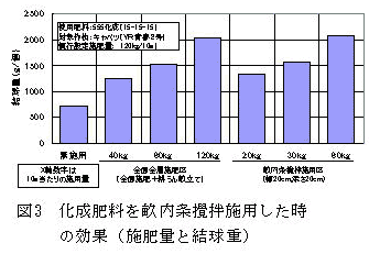 図3 化成肥料を畝内条攪拌施用した時の効果(施肥量と結球重)
