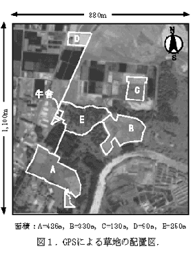図1 GPsによる草地の配置図