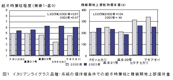 図1 イタリアンライグラス品種・系統の個体植条件での越冬時葉枯と穂揃期地上部個体重