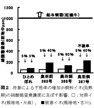 図2.冷害による不稔率の増加が飼料イネ(完熟期)の硝酸態窒素濃度に及ぼす影響