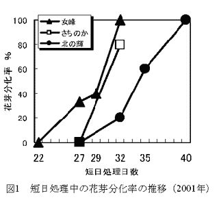 図1 短日処理中の花芽分化率の推移(2001年)