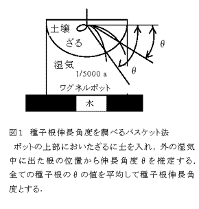 図1 種子根伸長角度を調べるバスケット法