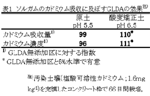 表1 ソルガムのカドミウム吸収に及ぼすGLDAの効果