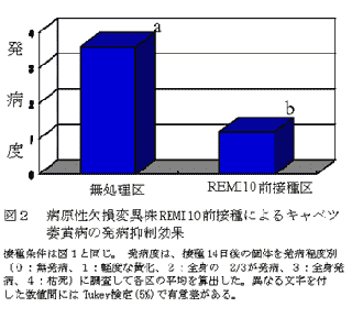 図2 病原性欠損変異株REMI10前接種によるキャベツ萎黄病の発病抑制効果