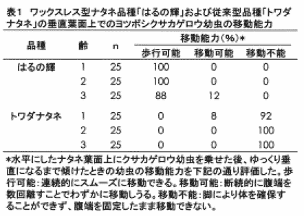 表1 ワックスレス型ナタネ品種「はるの輝」および従来型品種「トワダナタネ」の垂直葉面上でのヨツボシクサカゲロウ幼虫の移動能力