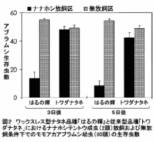 図2 ワックスレス型ナタネ品種「はるの輝」と従来型品種「トワダナタネ」におけるナナホシテントウ成虫(2頭)放飼および無放飼条件下でのモモアカアブラムシ幼虫(60頭)の生存虫数