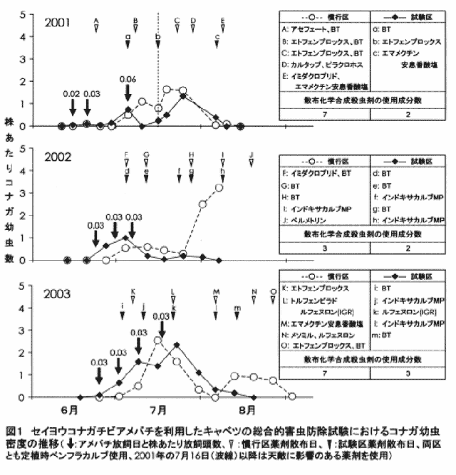 図1 セイヨウコナガチビアメバチを利用したキャベツの総合的害虫防除試験におけるコナガ幼虫密度の推移