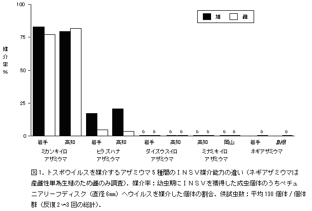 図1.トスポウイルスを媒介するアザミウマ5種間のINSV媒介能力の違い(ネギアザミウマは産雌性単為生殖のため雌のみ調査)