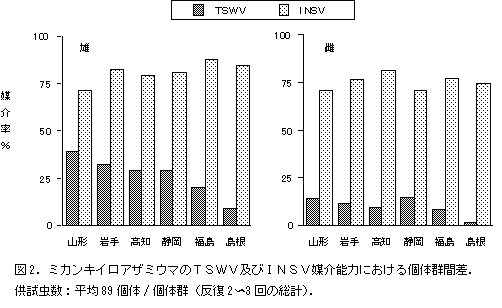 図2. ミカンキイロアザミウマのTSWV及びINSV媒介能力における個体群間差