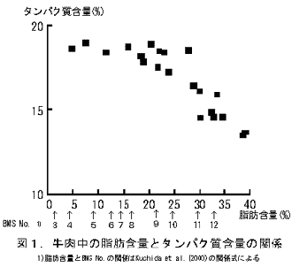 図1.牛肉中の脂肪含量とタンパク質含量の関係