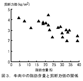 図3.牛肉中の脂肪含量と剪断力価の関係