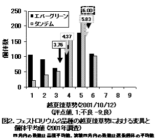 図2 フェストロリウム2品種の選抜多交配後代における越夏後草勢