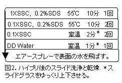 図2 ハイブリ後のスライド洗浄と乾燥