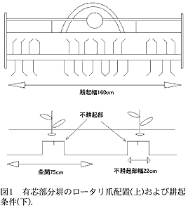 図1 有芯部分耕のロータリ爪配置(上)および耕起 条件