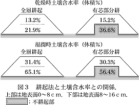 図3 耕起法と土壌含水率との関係.