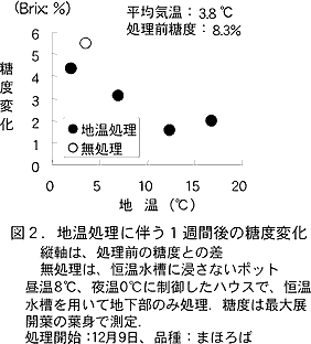 図2.地温処理に伴う1週間後の糖度変化