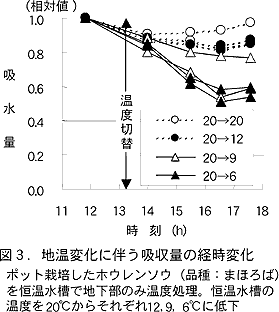 図3.地温変化に伴う吸収量の経時変化