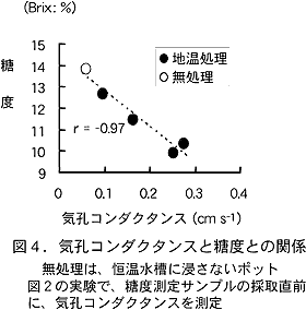 図4.気孔コンダクタンスと糖度との関係