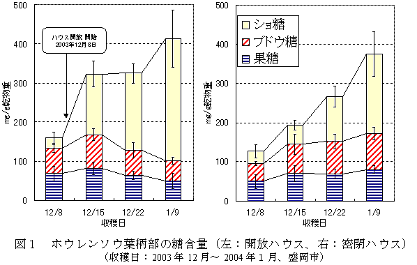 図1 ホウレンソウ葉柄部の糖含量(左:開放ハウス、右:密閉ハウス)