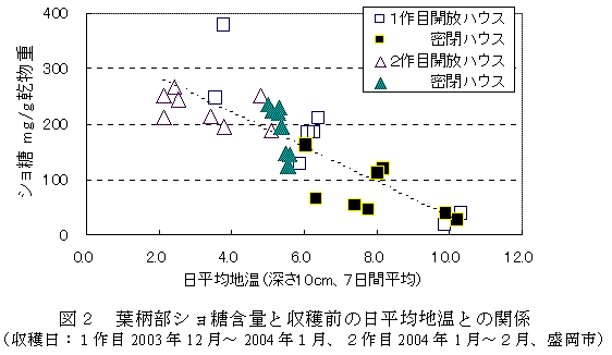 図2 葉柄部ショ糖含量と収穫前の日平均地温との関係