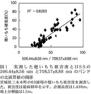 図1 実測した穂いもち被害度とHSSの506.44±8.56 nm と 708.57±8.88 nm のバンドの比演算値の関係