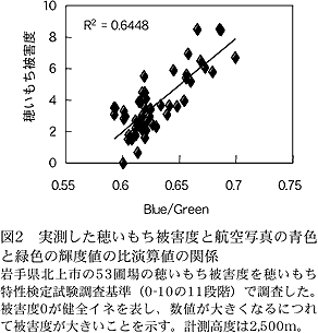 図2 実測した穂いもち被害度と航空写真の青色と緑色の輝 度値の比演算値の関係