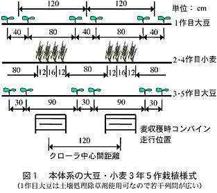 図1 本体系の大豆・小麦3年5作栽植様式