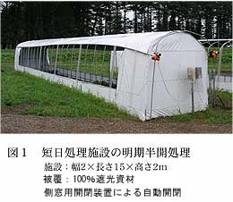 図1 短日処理施設の明期半開処理