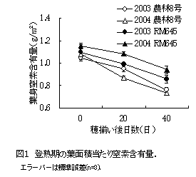 図1 登熟期の葉面積当たり窒素含有量.