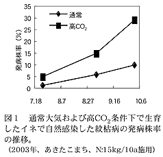 図1 通常大気および高CO2条件下で生育し たイネで自然感染した紋枯病の発病株率の 推移。
