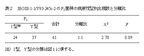 表2 IBOS8-1-1/Y93-245c-2 のF1菌株の病原性 型別出現数と分離比