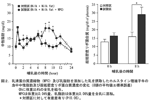 図2.乳清蛋白質濃縮物(WPC)及び乳脂肪を添加した乳を摂取したホルスタイン種雄子牛の血中中性脂肪及び超低密度リポ蛋白質濃度の変化