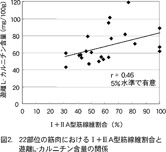 図2. 22部位の筋肉におけるI+IIA型筋線維数割合と 遊離L-カルニチン含量の関係