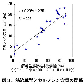 図3.筋線維型とカルノシン含量の関係