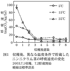 図1 収穫後、異なる温度条件で貯蔵した ニンニクりん茎の呼吸速度の変化