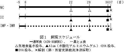 図1 飼育スケジュール