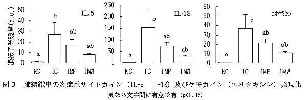 図3 肺組織中の炎症性サイトカイン(IL-5、IL-13)及びケモカイン(エオタキシン)発現比