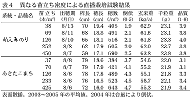 表4 異なる苗立ち密度による直播栽培試験結果