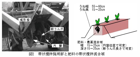 図2 帯状攪拌施用部と肥料の帯状攪拌混合域