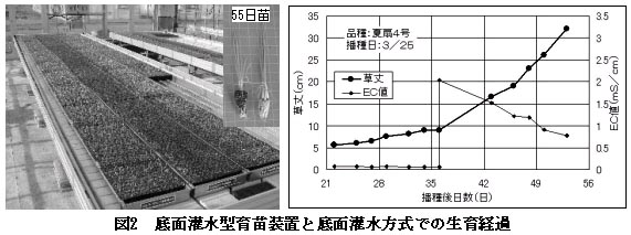 図2 底面灌水型育苗装置と底面灌水方式での生育経過