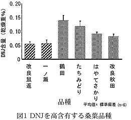図1 DNJを高含有する桑葉品種