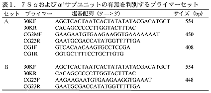 表1 7Sαおよびαサブユニットの有無を判別するプライマーセット