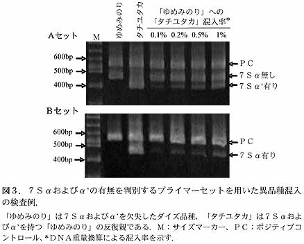 図3 7Sαおよびα'の有無を判別するプライマーセットを用いた異品種混入の検査例