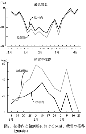 図2 松林内と給餌場における気温、積雪の推移