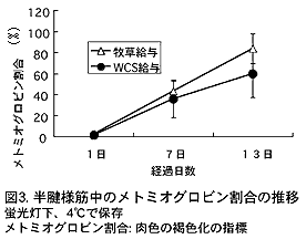 図3 半腱様筋中のメトミオグロビン割合の推移