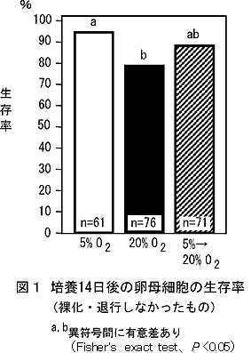 図1 培養14日後の卵母細胞の生存率