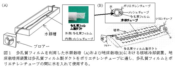 図1 多孔質フィルムを利用した水耕栽培(A)および地床栽培(B)における根域冷却装置。地床栽培用装置は多孔質フィルム製ダクトをポリエチレンチューブに通し、多孔質フィルムとポリエチレンチューブの間に水を入れて使用する。