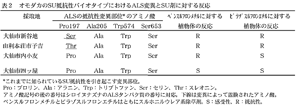 表2 オモダカのSU抵抗性バイオタイプにおけるALS変異とSU剤に対する反応