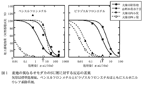 図1 産地の異なるオモダカのSU剤に対する反応の差異