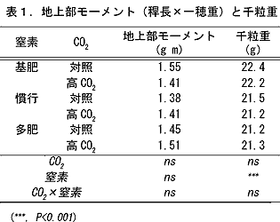 表1 地上部モーメント(稈長×一穂重)と千粒重